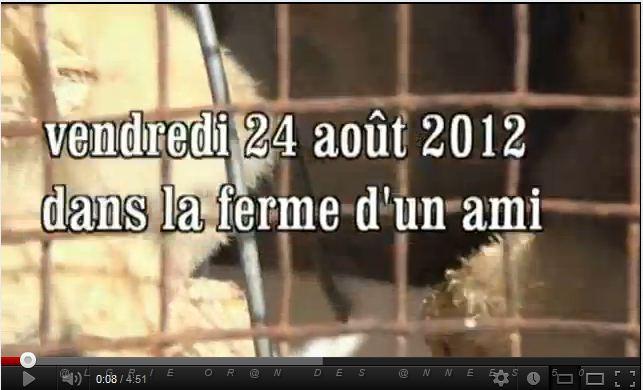 185 dans la ferme d un ami.JPG